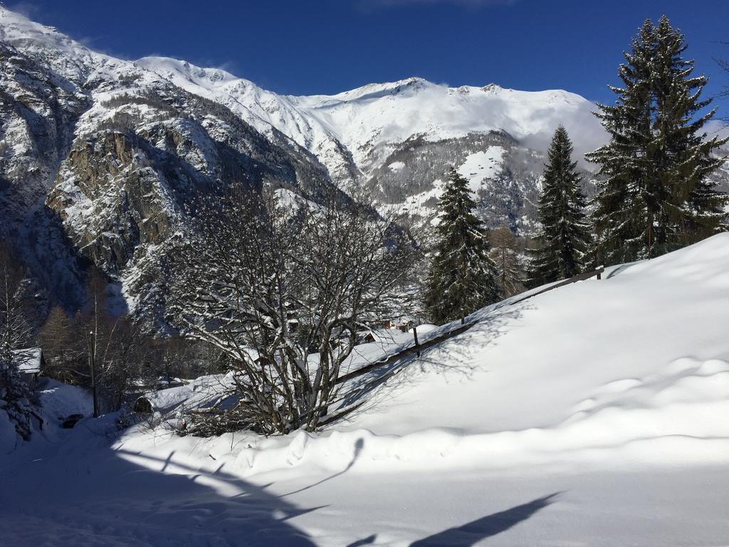 Chalet Charming Grächen Dış mekan fotoğraf